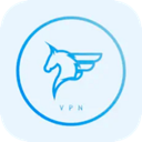 Feima Nice VPN, 飞马好用VPN